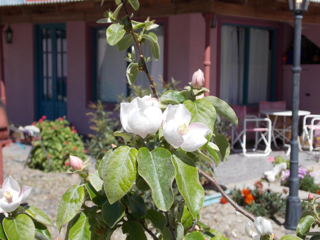 Posada Caracoles Puerto Pirámides Zewnętrze zdjęcie