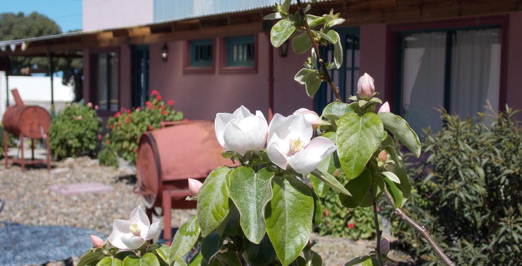 Posada Caracoles Puerto Pirámides Pokój zdjęcie