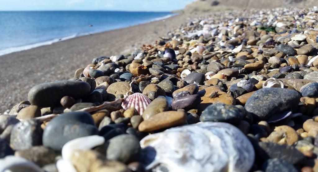 Posada Caracoles Puerto Pirámides Zewnętrze zdjęcie